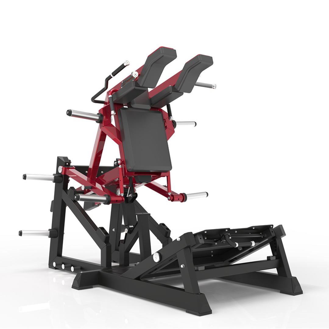 ECP713 - SQUAT