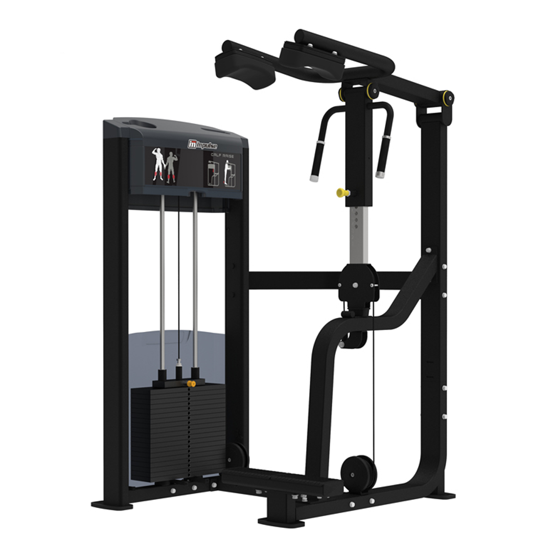 IF9316 - CALF RAISE