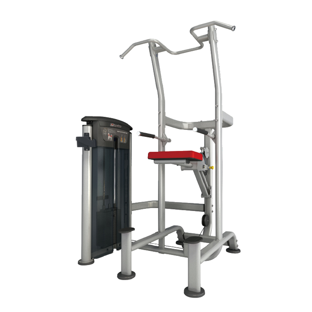 IT9520 - WEIGHT ASSISTED CHINDIP COMBO